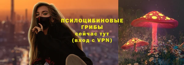бошки Елабуга