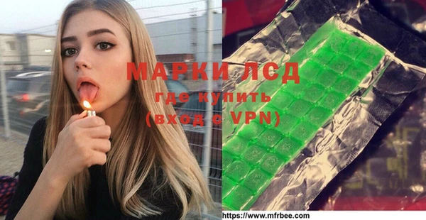 сатива Ельня